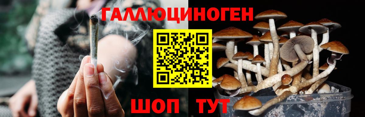 Сарапул  Псилоцибиновые грибы Cubensis  наркотики  Вход с VPN  Псилоцибиновые грибы Psilocybine cubensis 